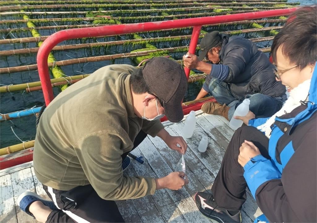 台南抽檢未上市水產 城西周邊水產與水質均合格