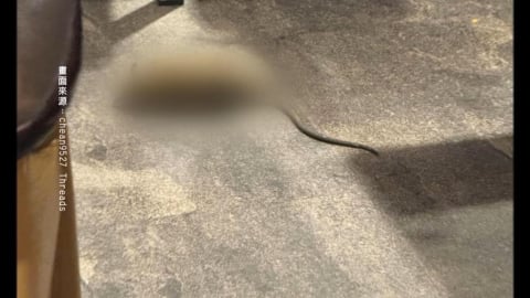 北車韓式吃到飽「天降米奇」嚇壞民眾 微風:全面加強清消