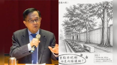 北市砍樹爆爭議!陳水扁昔首創「空間解嚴」拆牆讓樹:總統官邸圍牆沒比老樹重要