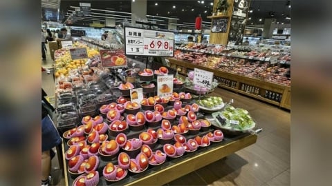 台灣芒果風靡國際　這國上半年「狂掃1.1億元」成最大買家