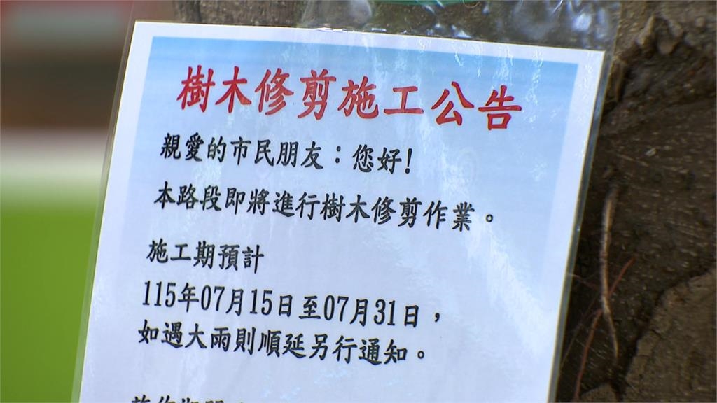 民生社區巷弄大規模修樹 居民憂「砍樹」喊話排班監工