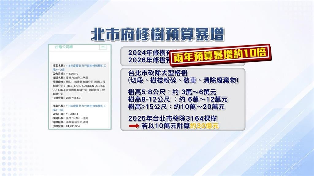 民生社區巷弄大規模修樹 居民憂「砍樹」喊話排班監工