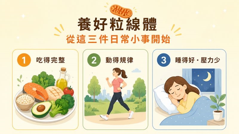 不是只有累!身體高耗能部位「續航力變差」 恐是能量代謝拉警報