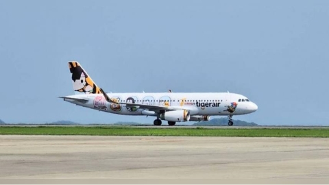 一年2次!虎航再爆「旅客上錯機」 網酸:查行李箱尺寸比登機證更嚴格