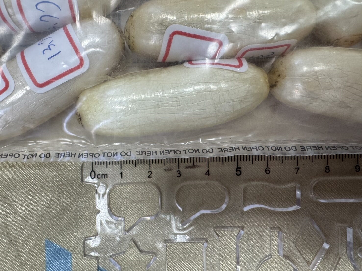 法籍大叔吞101顆海洛因闖關 醫警花5天驚險「排毒」保命