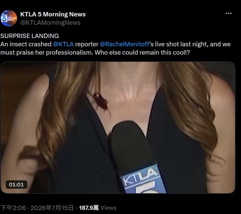 梅尼托夫事後表示,她擔心一旦理會身上的蟑螂,就無法繼續完成報導。(圖/翻攝自X,@KTLAMorningNews)