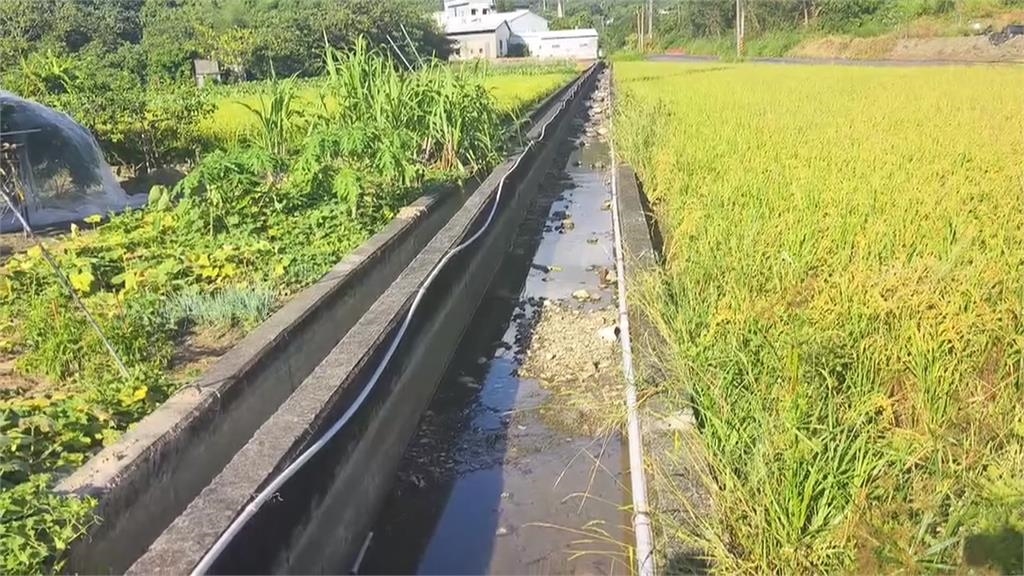 10年來最大洪水災害！　下週插秧關鍵期農民憂沒水可用