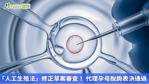 「人工生殖法」修正草案審查! 代理孕母脫鉤表決通過