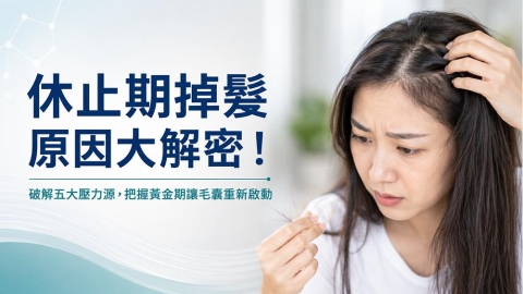 休止期掉髮原因有哪些？醫師解析常見壓力因素與毛髮生長週期