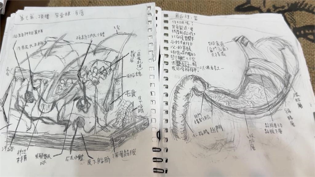 小六生解剖圖「肌肉紋理」栩栩如生 盼未來當醫生