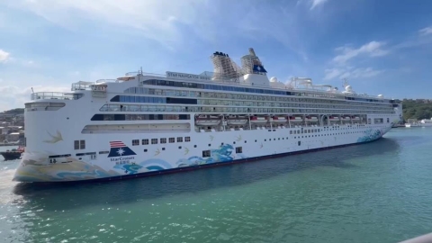 靠港那霸前1小時喊卡！旅客氣炸質疑船有問題　麗星急澄清