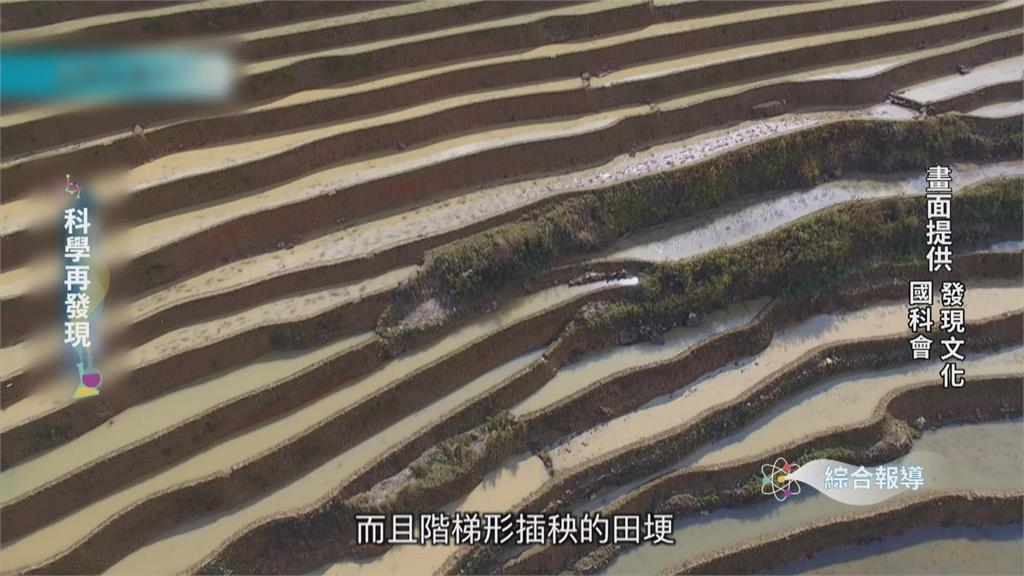 推動溼地復育 用友善耕作恢復水梯田