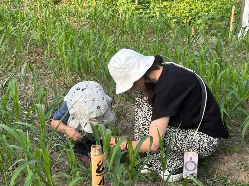 暑假出去玩不想人擠人!原鄉也能深度旅遊 部落秘境大公開