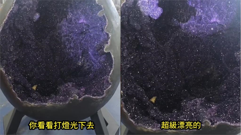 吊車大王入手「巨型恐龍蛋」嗨跳開心舞！「百年難得一見」網驚：這要2000萬