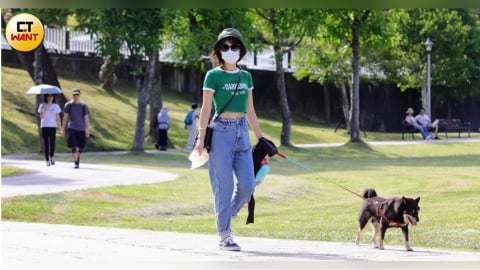 聖嬰年常「熱到破紀錄」? 專家揭3可能原因