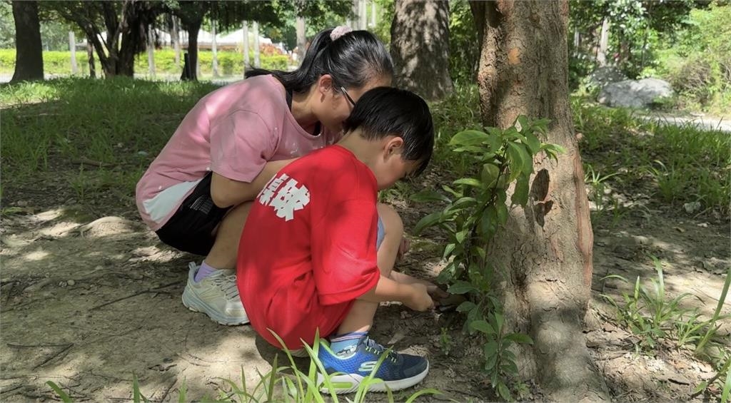 全台大人小孩瘋找石頭 逾8萬人加入小拾頭尋寶社團
