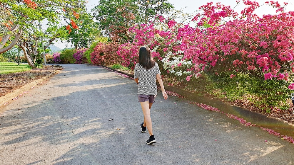 夏天睡不好只和天氣有關嗎?認識夏季睡眠常見迷思與影響因素