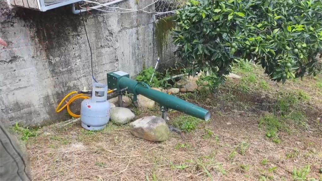 猴害! 侵門踏戶農民喊苦 電網好用須抽籤僧多粥少