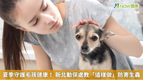 夏季守護毛孩健康! 新北動保處教「這樣做」防寄生蟲
