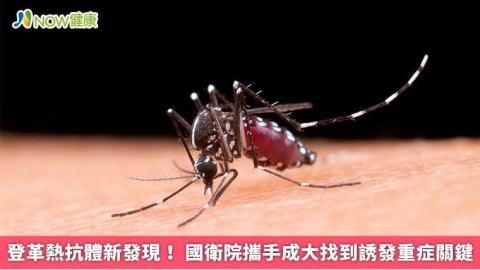 登革熱抗體新發現! 國衛院攜手成大找到誘發重症關鍵