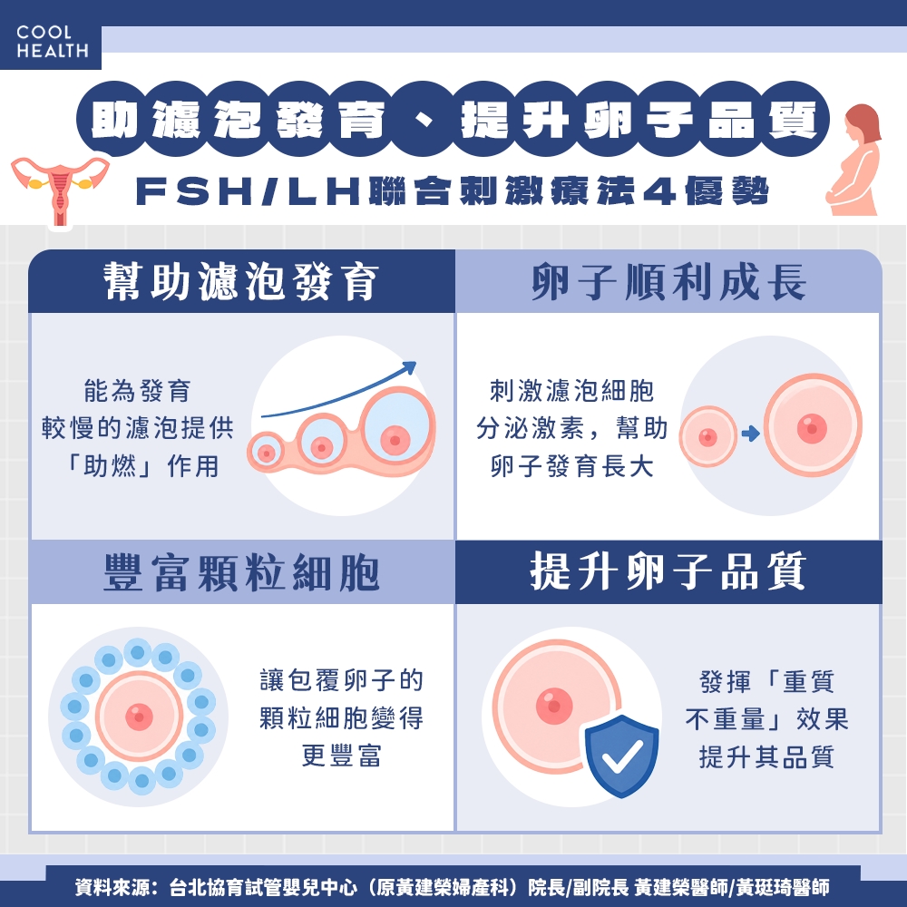 FSH與LH聯合刺激提升卵子品質資訊圖
