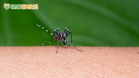 日本腦炎再+3!2人住加護 疾管署:6、7月疫情高峰慎防病媒蚊