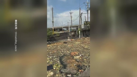 公德心呢？西螺甘厝大排「遭偷倒廚餘」　塞滿腐爛蔬菜飄臭