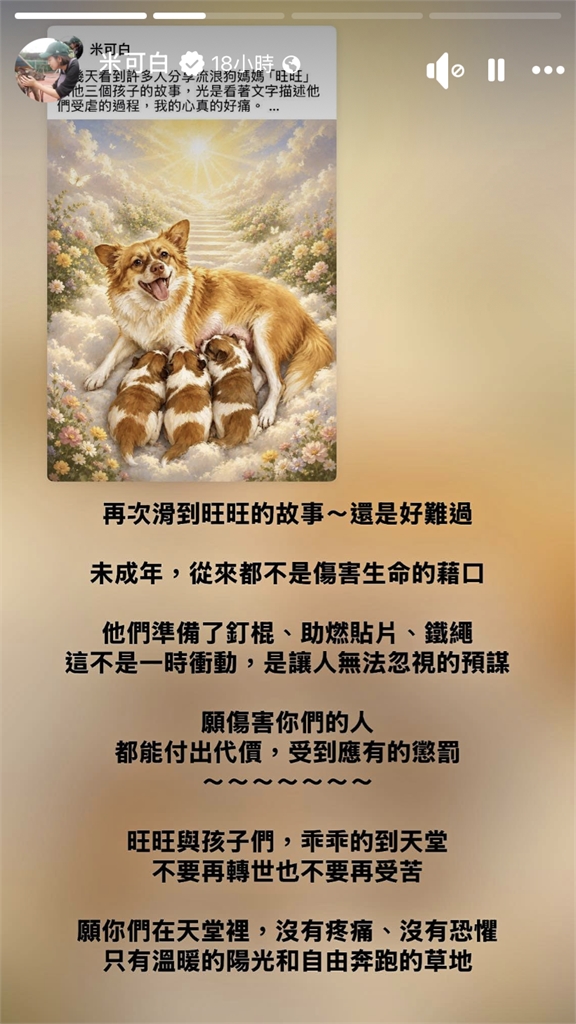 中國虐狗事件「竟無法可罰」引公憤!米可白二度聲援:未成年不是藉口