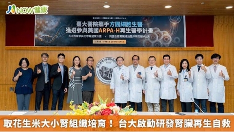 取花生米大小腎組織培育! 台大啟動研發腎臟再生自救