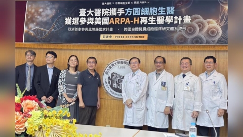 台大醫院再寫亞洲第一! 取「一顆花生米」大小組織能逆轉洗腎