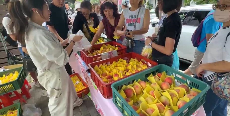 果肉細緻香甜!梨山"水蜜桃市集" 移師市區粉嫩登場