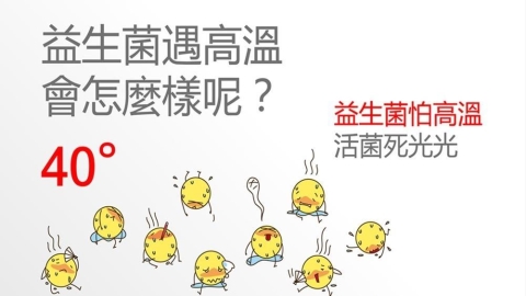 高溫恐讓益生菌「熱衰竭」！營養師提醒：冷藏配送確保有效菌數