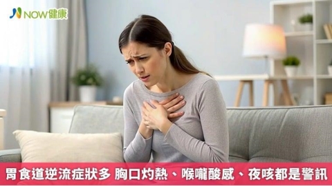 胃食道逆流症狀多 胸口灼熱、喉嚨酸感、夜咳都是警訊