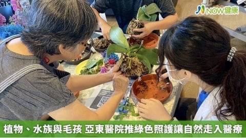 植物、水族與毛孩 亞東醫院推綠色照護讓自然走入醫療