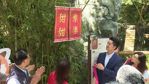 小貓熊亮相!上海團來台遭擋? 陸委會:北市府沒申請