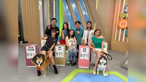 陳真愛犬領養就罹患皮膚病!砸錢買保健品餓到吐胃酸也不肯吃
