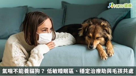 氣喘不能養貓狗? 低敏睡眠區、穩定治療助與毛孩共處