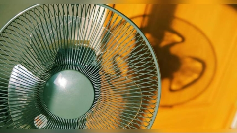 極端高溫頻傳!WHO發布防暑指南 環境超過「這溫度」別吹電扇