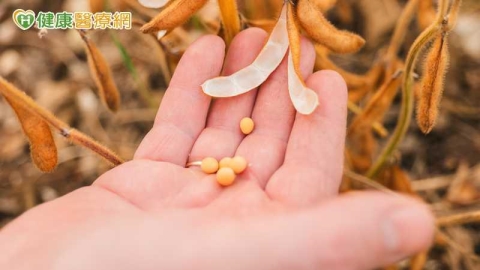 非基改一定比較健康?營養師解析基改食品安全性與常見迷思