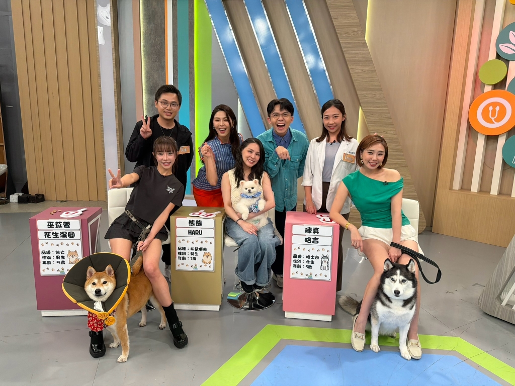 (影)／陳真的哈士奇吃藥增毛髮 有落髮的老公竟然這樣做？