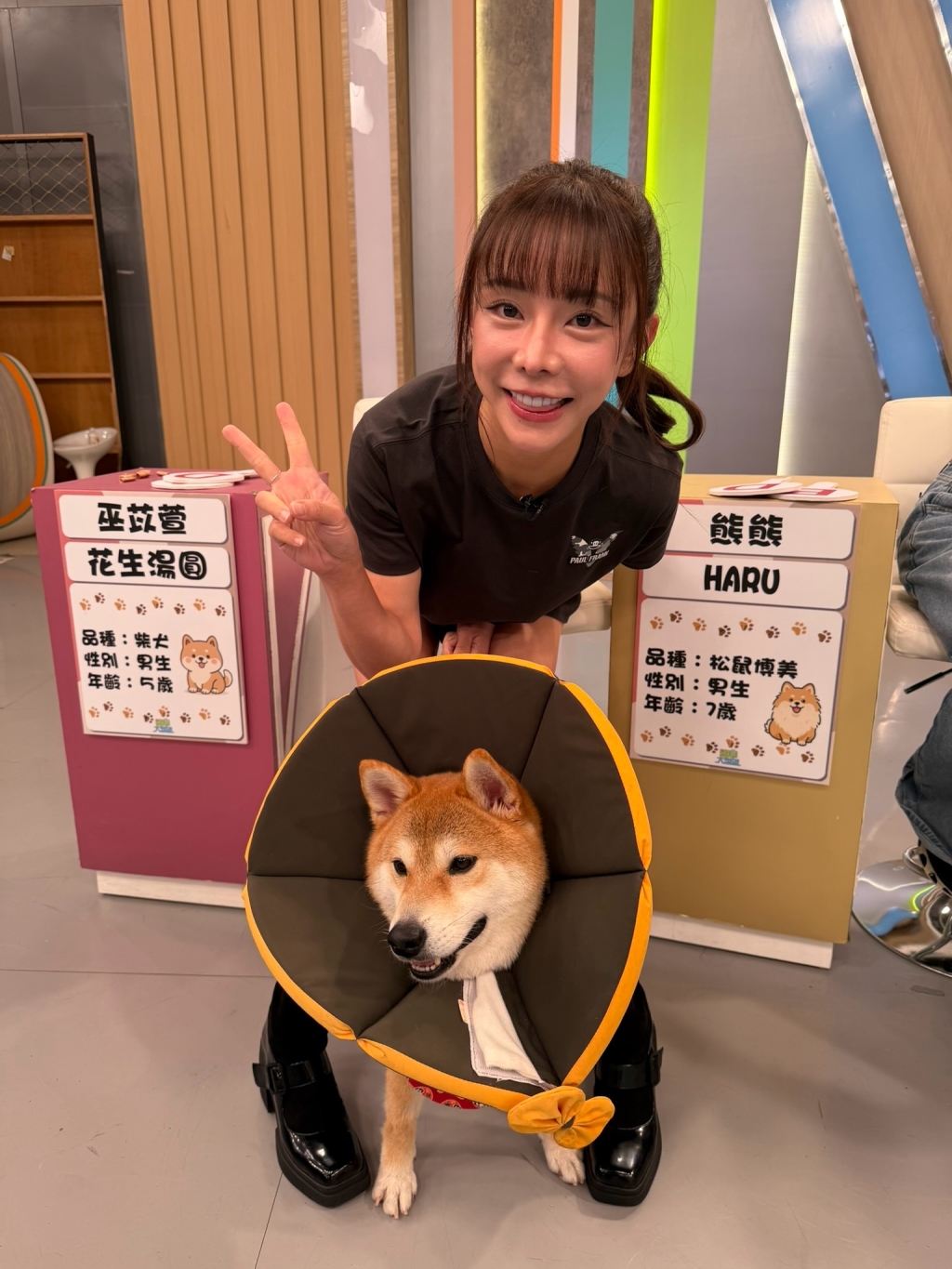 (影)／巫苡萱想養邊牧 一句話粉碎她的夢想？