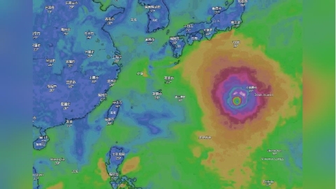 白海豚併吞「未成型鯨魚」還在增強!專家揭「2關鍵」攸關對台灣影響程度