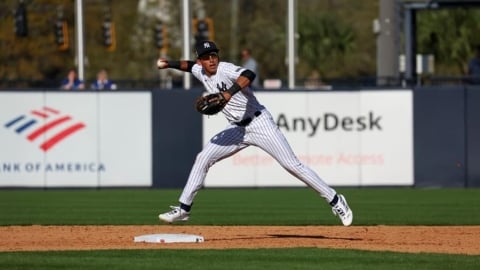 MLB(影)/讓他升!洋基下放當家游擊手沃皮!21歲頭號新秀隆巴德時代將來臨