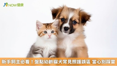 新手飼主必看!盤點幼齡貓犬常見照護誤區 當心別踩雷