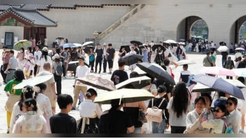 南韓酷暑出意外!身障男乘電動輪椅不慎翻覆 倒地2小時沒人理「曝曬亡」