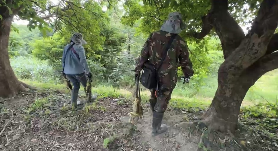 獵蜥也能年薪百萬? 揭密冠軍獵人98萬禮券背後代價