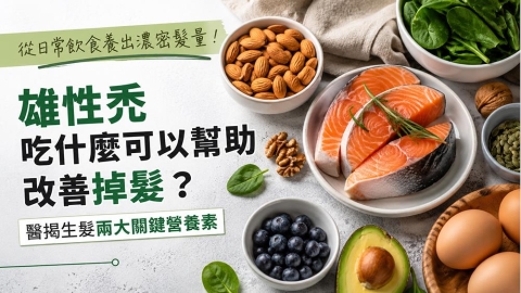雄性禿吃什麼？醫師解析頭髮健康常見的兩種營養素
