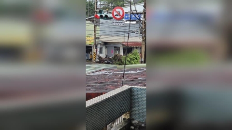 白海豚發威!淡水驚見龍捲風「路樹遭連根拔起」 驚險畫面曝