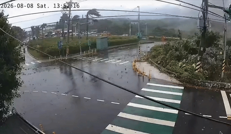 網傳龍捲風掃過淡水「火花四濺」恐怖視角曝!路樹狂搖「碰一聲」炸了