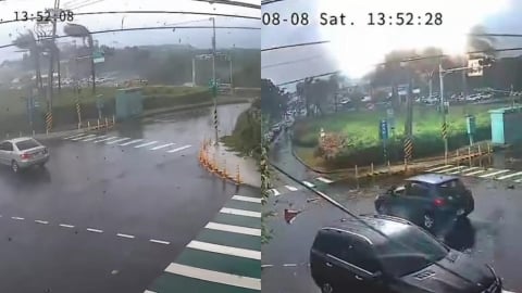 網傳龍捲風掃過淡水「火花四濺」恐怖視角曝!路樹狂搖「碰一聲」炸了